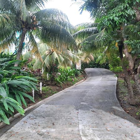 Guava Grove Resort & Villas 桑迪湾 外观 照片
