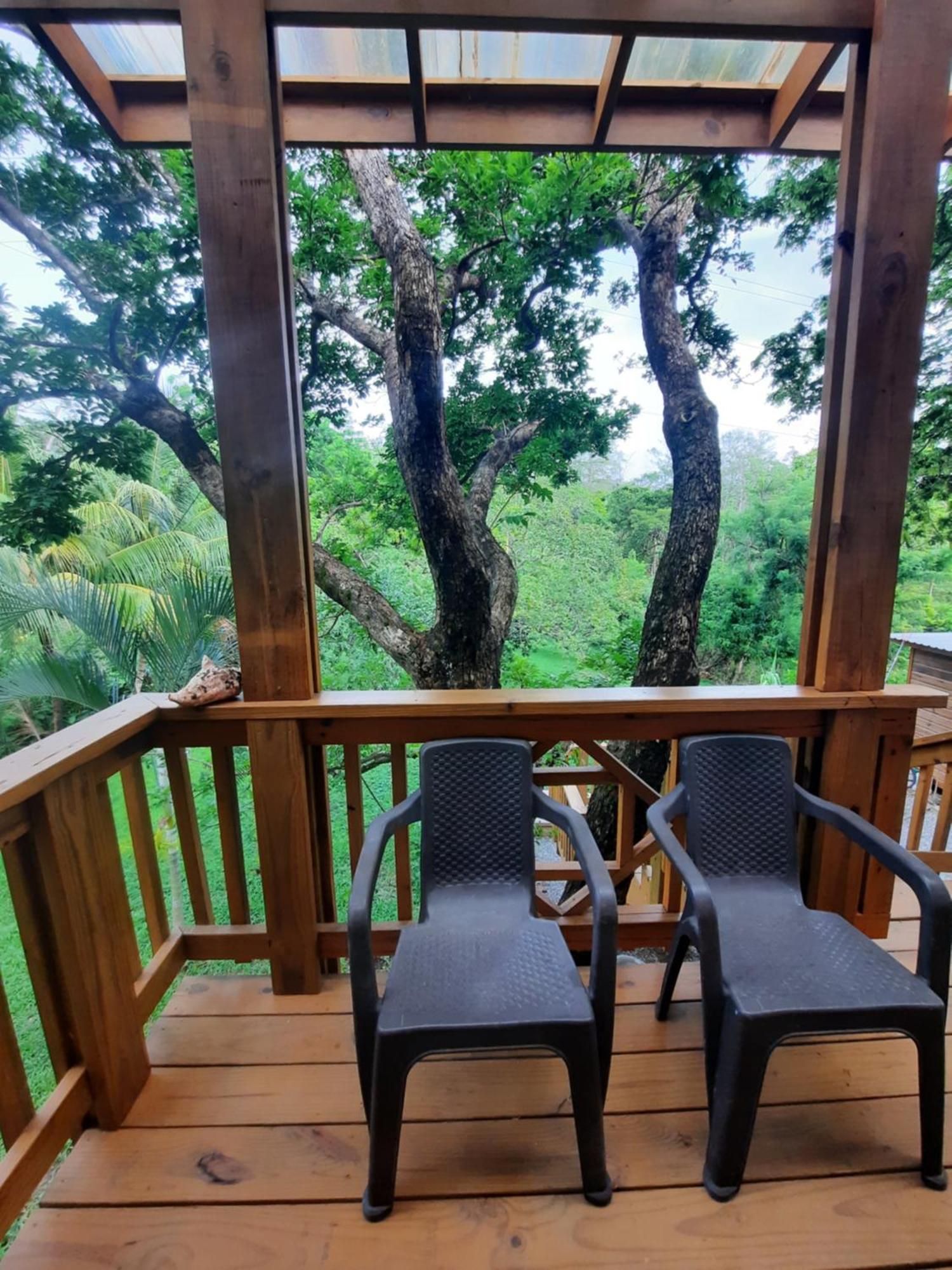 Guava Grove Resort & Villas 桑迪湾 外观 照片