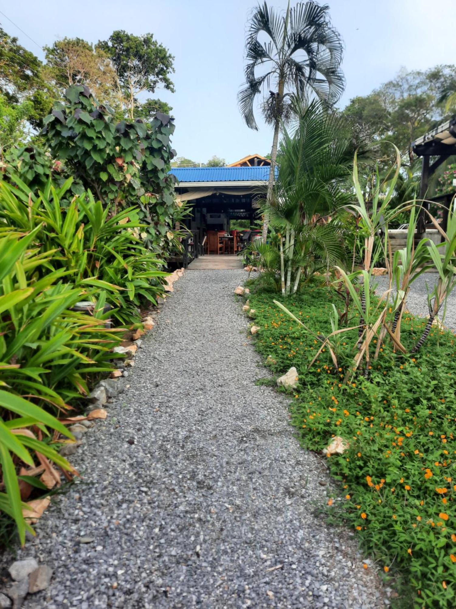 Guava Grove Resort & Villas 桑迪湾 外观 照片