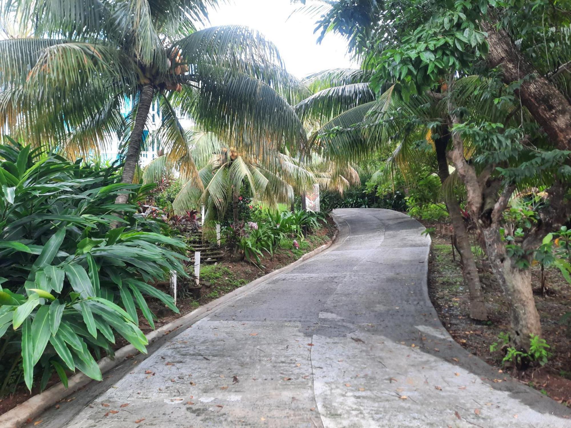 Guava Grove Resort & Villas 桑迪湾 外观 照片